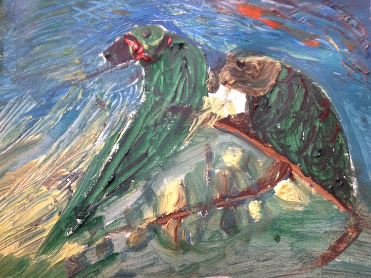Birds on the ocean
