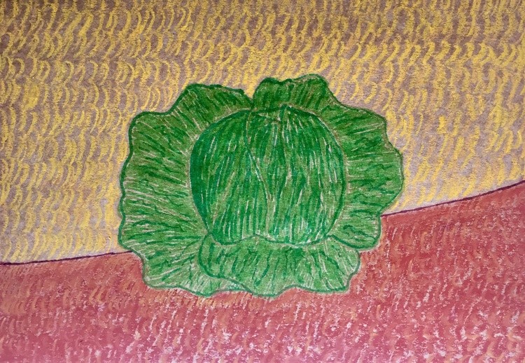 Still life with cabbage