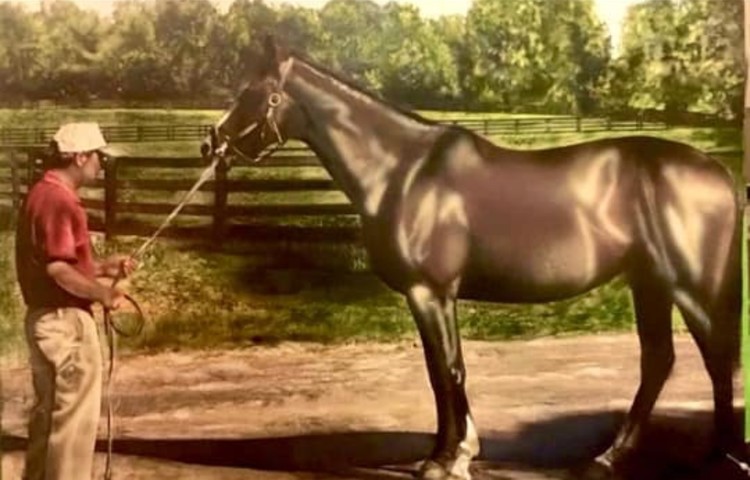 Derby horse 