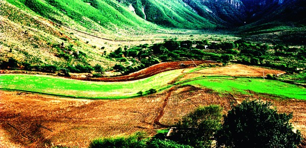 Landscape