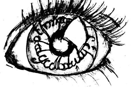 Eye