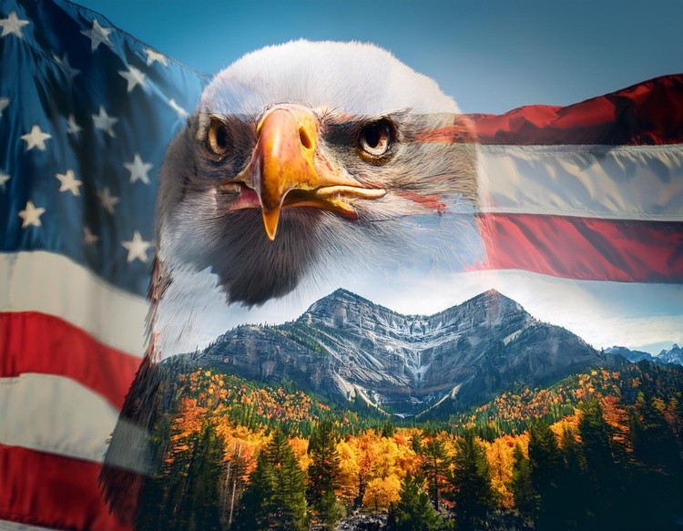 Firefly Create double exposure image