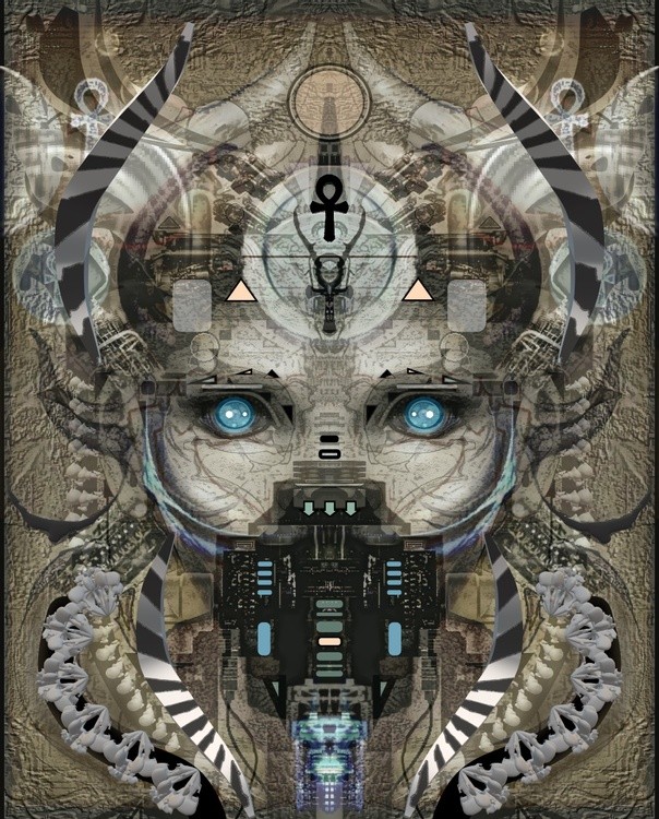 wasp 22