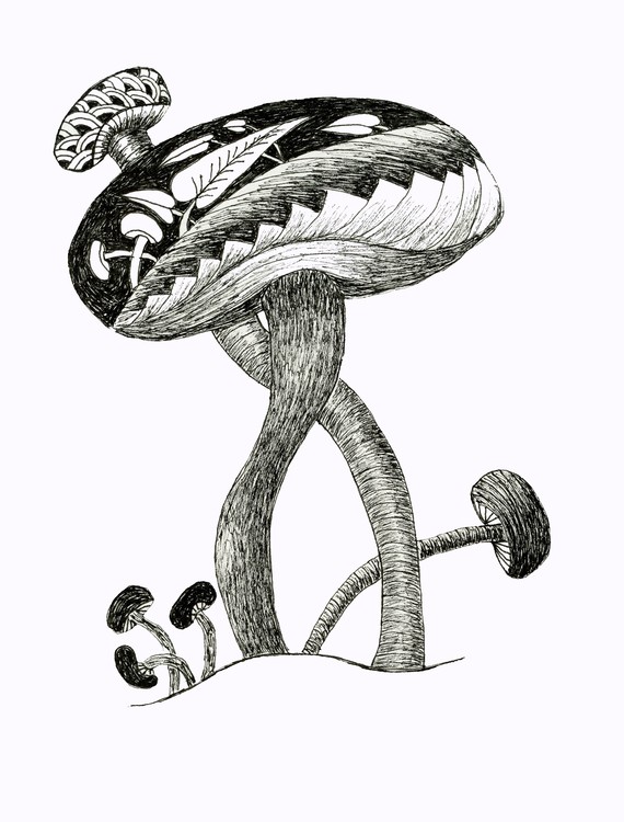 Mushrooms