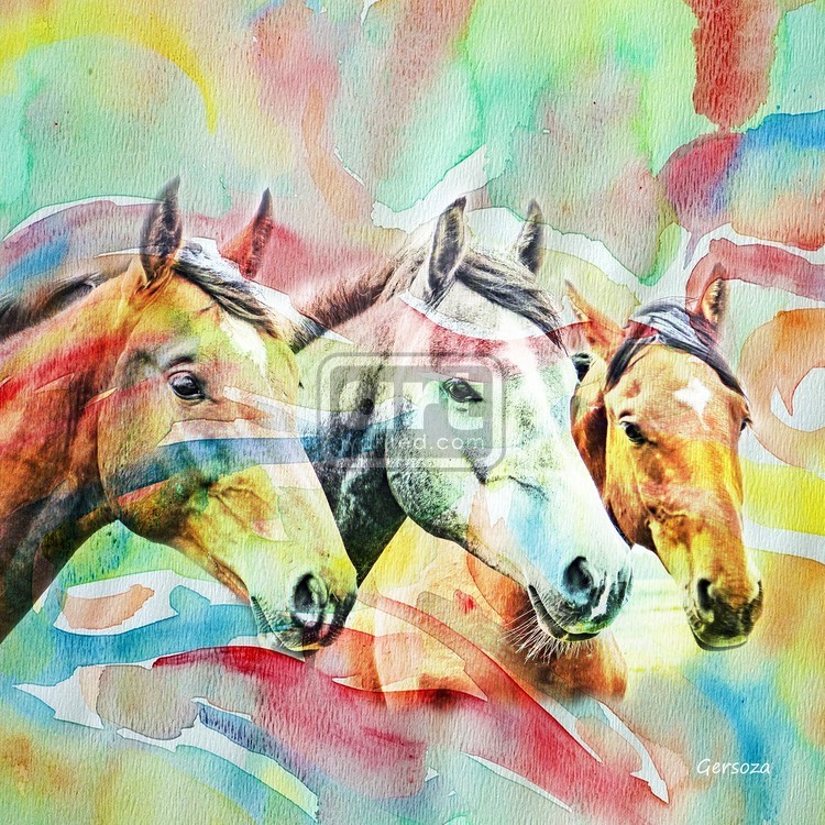 Horses