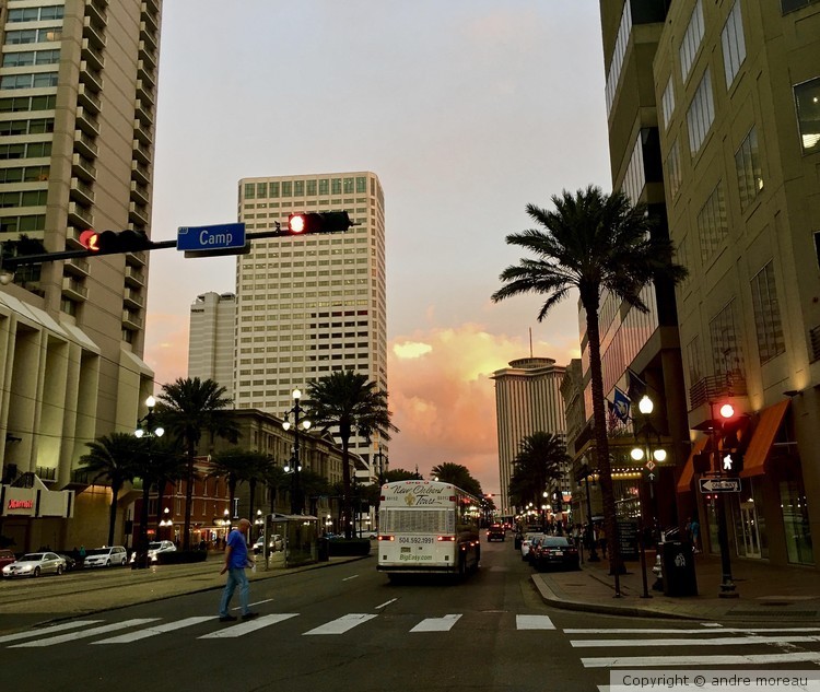 Canal Street landscape