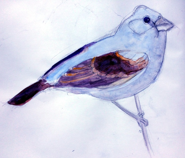 Bird Watercolor