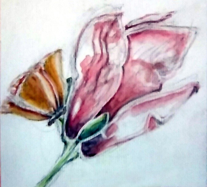 Magnolia and Poppy Watercolor