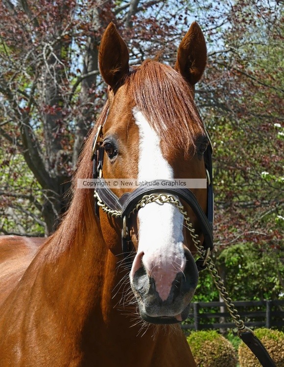 Justify P1450288