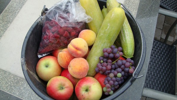 Fruit from own garden