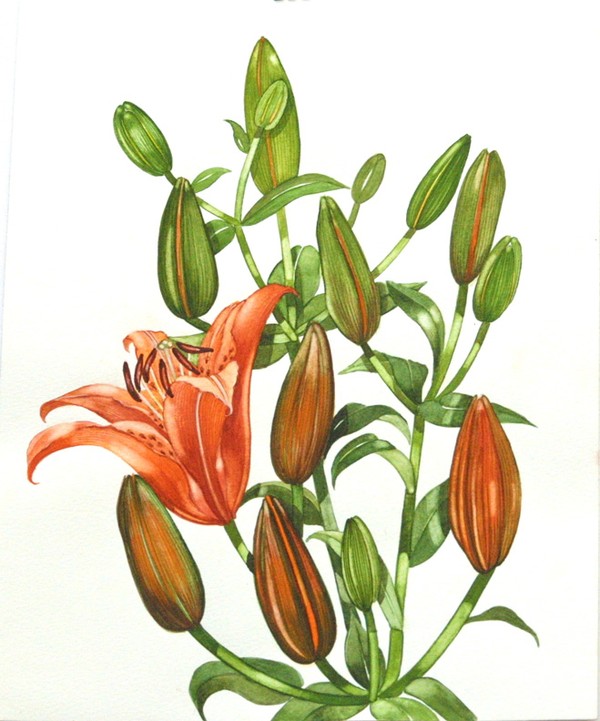 011