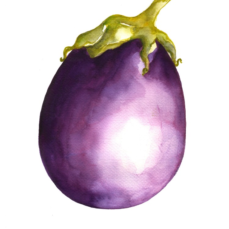 Eggplant