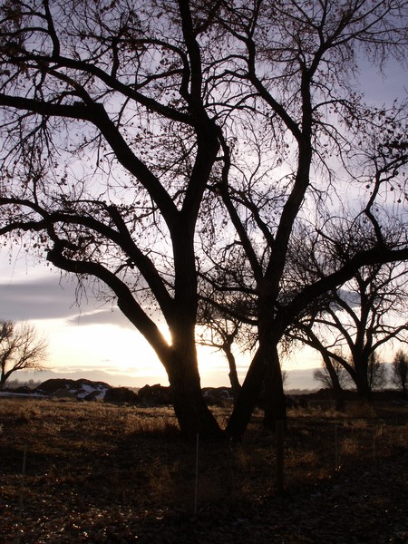 Solstice Sunset