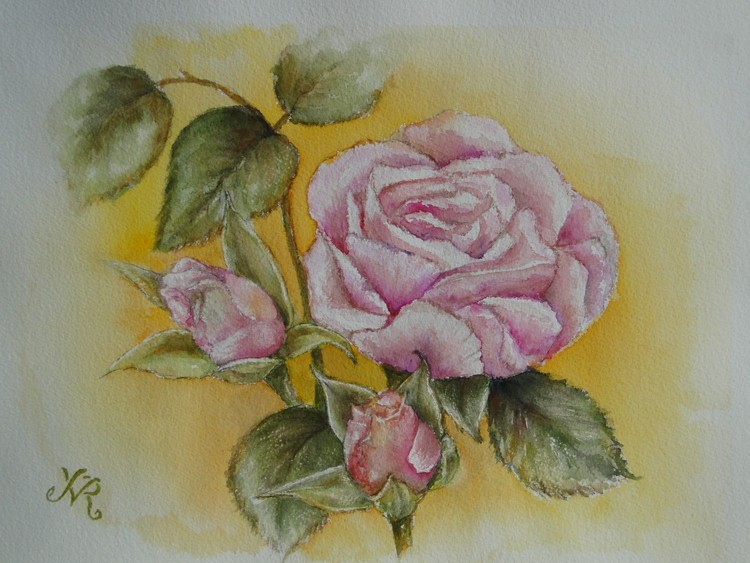 roses