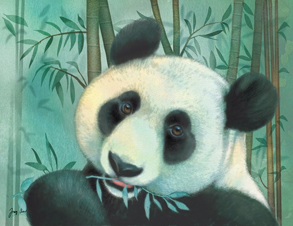 China Bear