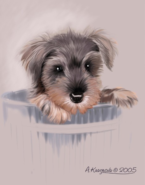 Dogs of 2005. The Little Toby.