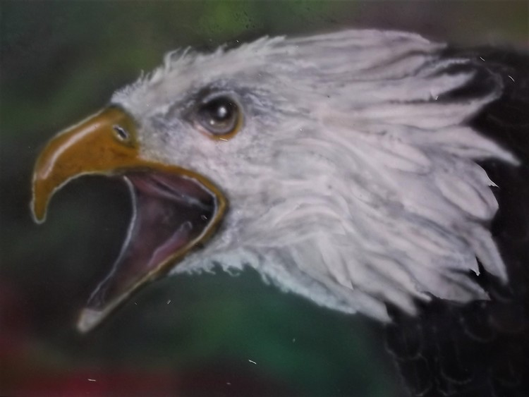 Eagle on steal panel