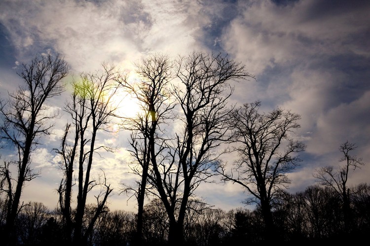  November 2011