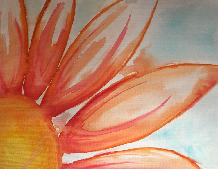 Daisy Sunflower