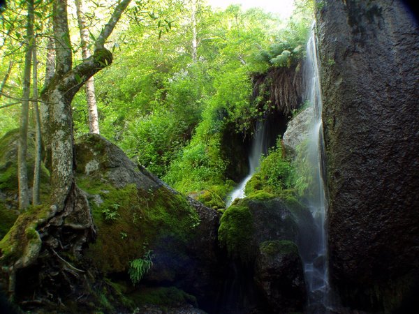 Little Hawaii Falls
