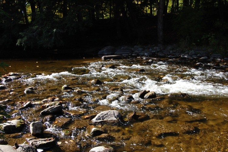 Creek