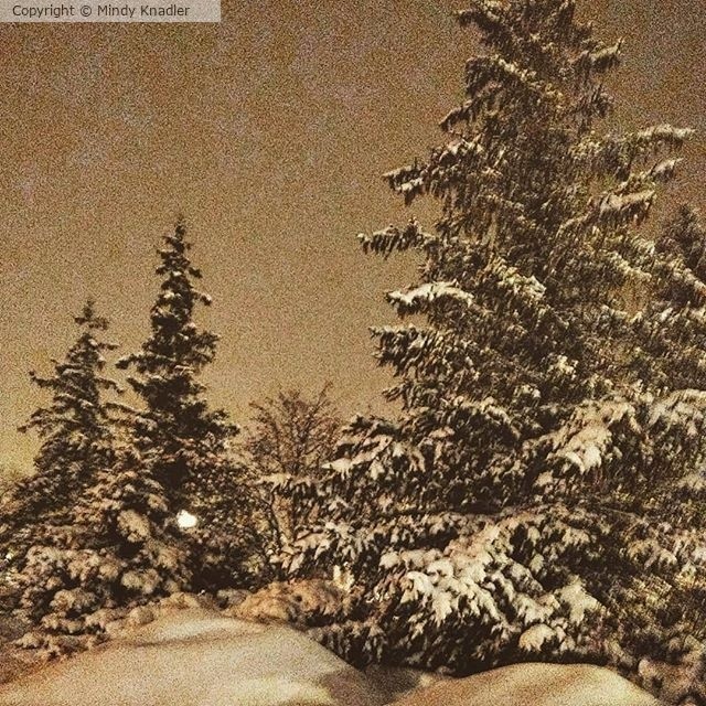 winter night