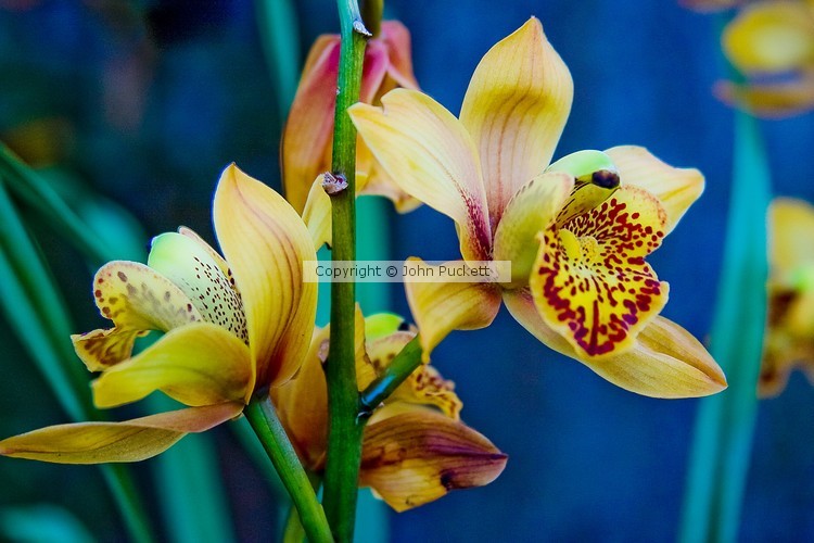 MG 1813-lr-color