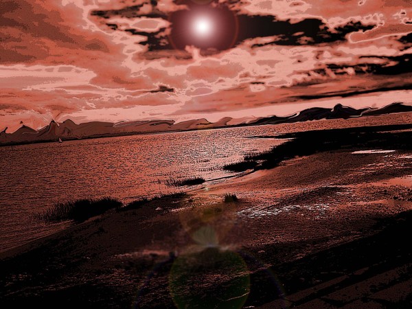 Barren Shores.