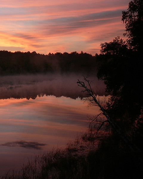 Early Morning Colors