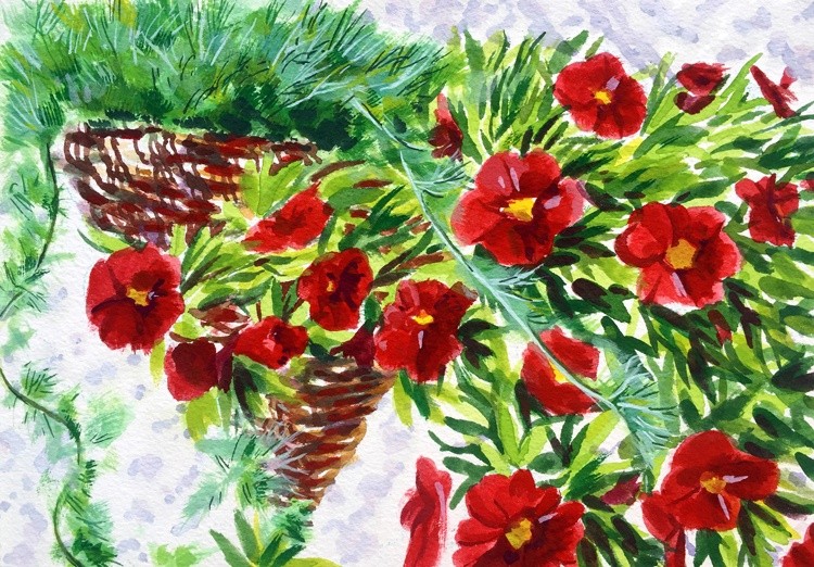 Hanging Basket
