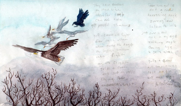 eagle tussle