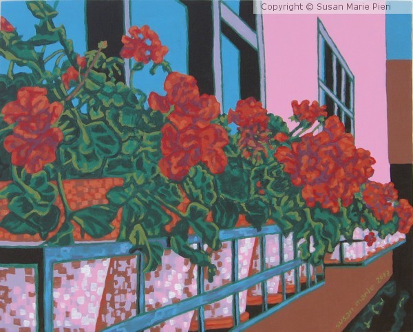 Geraniums