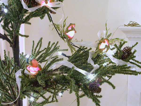 Christmas Tree Frogs 1