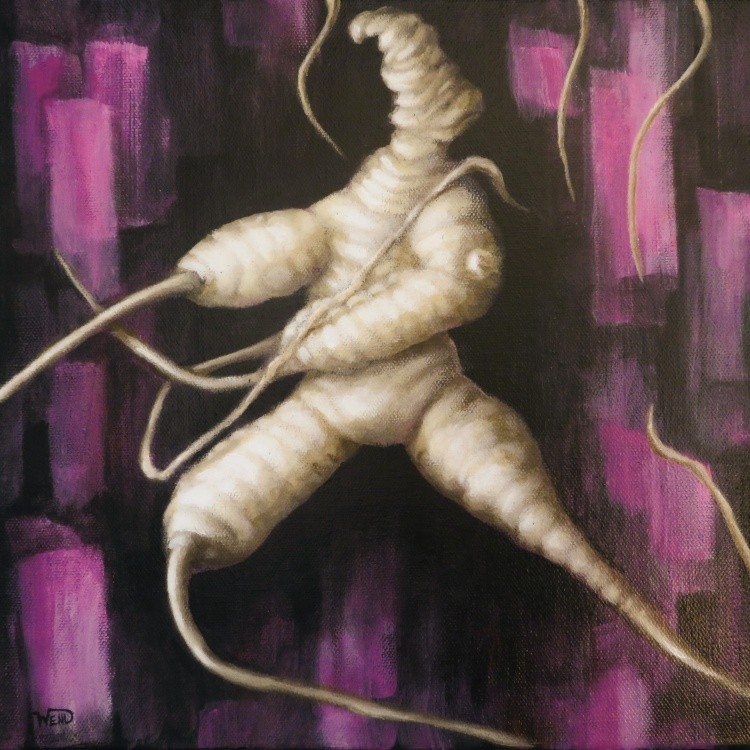 Manroot Triptych- magenta panel
