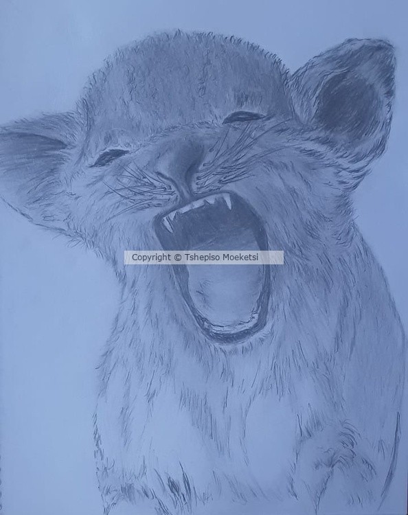 Roar!