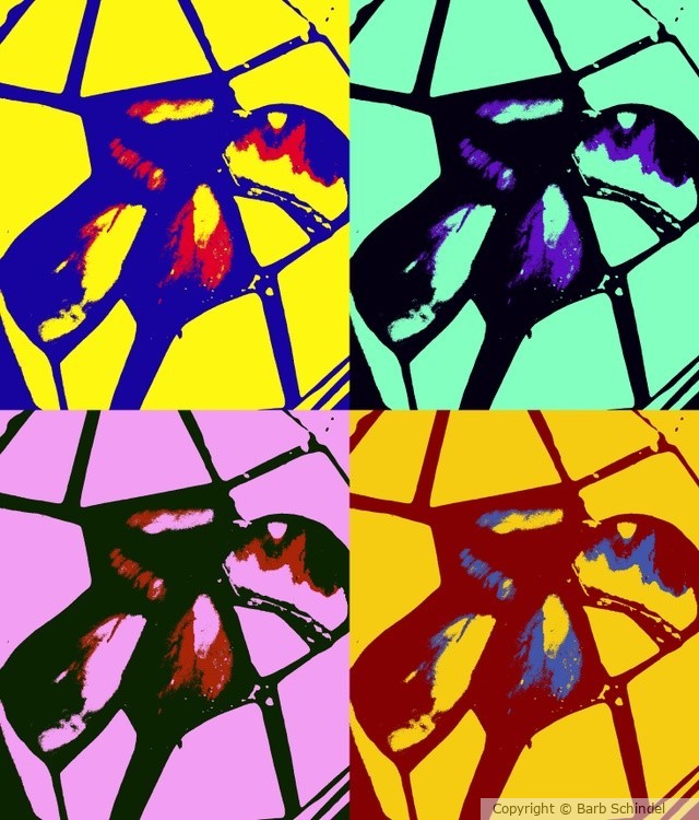 Four times the flower
