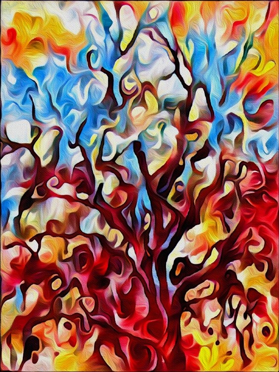 Fall Oak in Florida