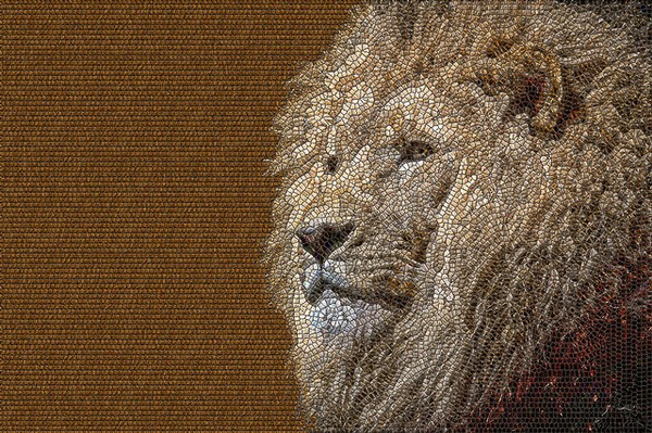 Lion Mosaic