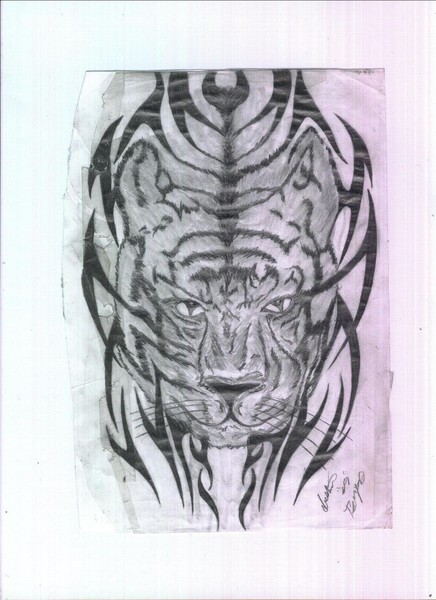 tribal tiger
