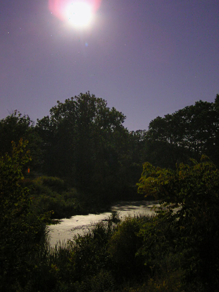 Moonlight Serenade