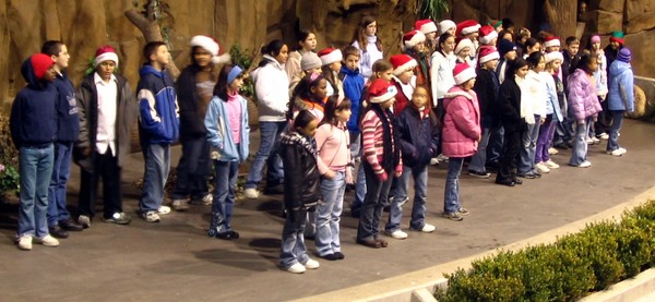 Miss singing at zoolights