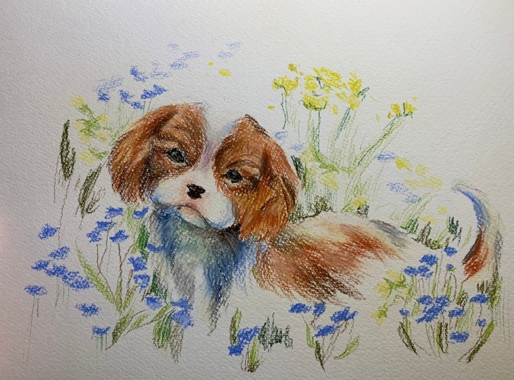 doggy in flowers
