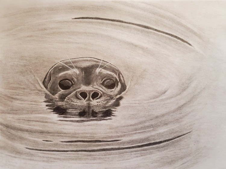 Seal