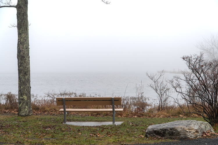 Foggy Waters