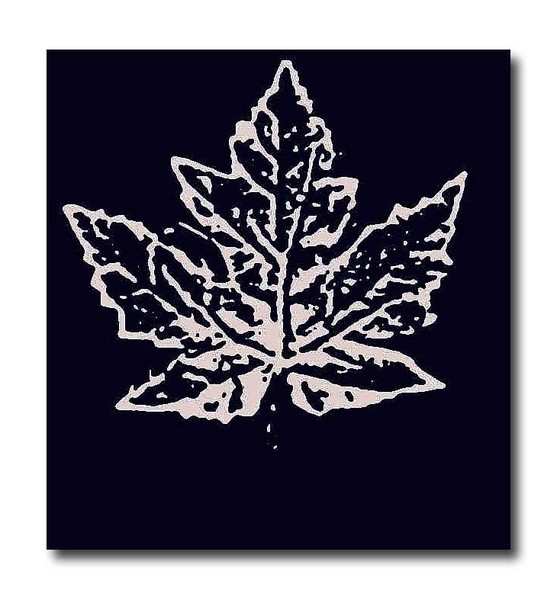 Lost Leaves