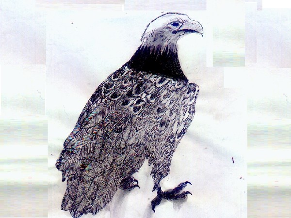 Eagle