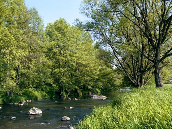 Peaceful River