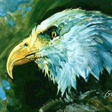 Eagle Watercolor