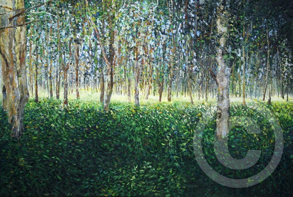 The Forest