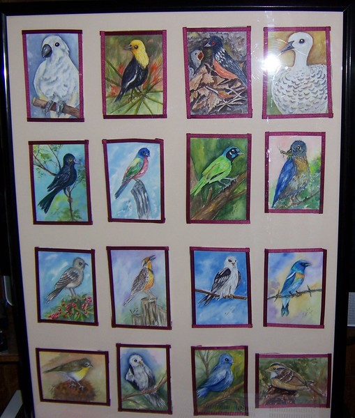 Birds of the world
